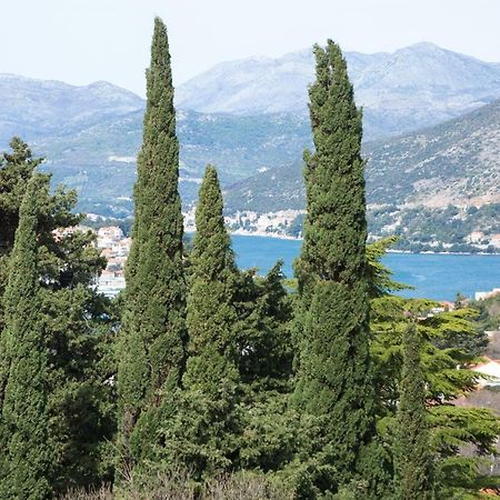 Spacious Apartment Near The Old Town Dubrovnik Exterior foto
